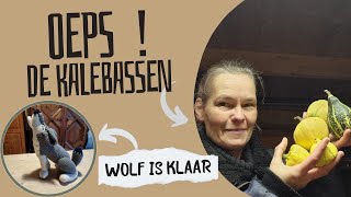 OEPS Wat is er met de kalebassen gebeurt Mijn haakproject quotwolfquot is klaar [upl. by Lonni]