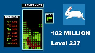 AI BREAKS NES TETRIS  102 MILLION and level 237 [upl. by Darcee]