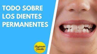 ¿A QUÉ EDAD SALEN LOS DIENTES PERMANENTES [upl. by March]