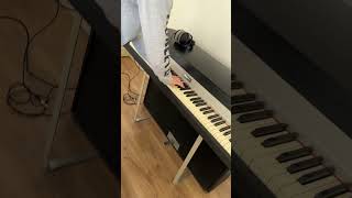 1979 Fender Rhodes 88 Stage Piano COMPLETE at The Music Locker  The Synth Locker [upl. by Erlond371]