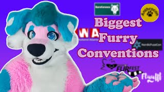 The BIGGEST Furry conventions [upl. by Rosalynd]