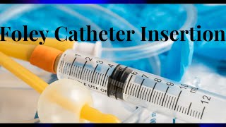 Foley catheter insertion [upl. by Aneed]