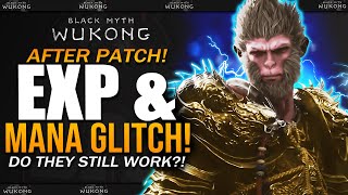 After Patch INFINITE MANA GLTICH amp UNLIMITED XP Testing  Do They Still Work  Black Myth Wukong [upl. by Sallyanne]