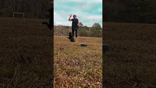 Alabama dog training shelter pup 4 days out of the shelter Working on heeling amd positioning [upl. by Angi]