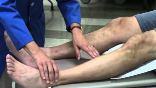 Peripheral vascular system assessment [upl. by Eliathan]