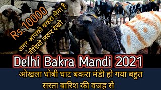 Okhla Dhobi Ghat Bakra Mandi 2021 Batla House Dhobi Ghat Bakra Mandi Update Delhi Bakra Mandi 2021 [upl. by Elletnwahs]