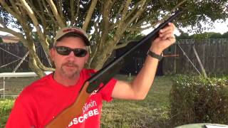 DAISY MODEL25 PUMP ACTION AIR RIFLE quick look [upl. by Ahseele]