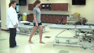 Muscle Length for Gastrocnemius Soleus and Psoas Major [upl. by Jacinta]