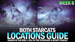 Both Starcats Locations Guide  Week 8 Cell of the Sycophant amp Secret Starcat Destiny 2 [upl. by Deden]