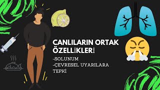 4 Canlıların Ortak Özellikleri  4 Solunum  Etkiye Tepki 9SINIF [upl. by Nnaeirual]