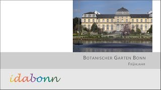 Botanischer Garten Bonn im Frühjahr [upl. by Reehsab]