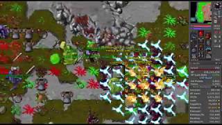 Tibia Paladin 290 Oramond West Quara Raid 5kkh [upl. by Ilrebma]