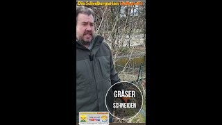 Pampas Gras und Gräser schneiden [upl. by Ahtnama]