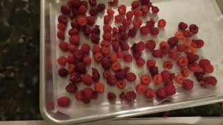 How To Make WIneberry Wine [upl. by Reizarf]