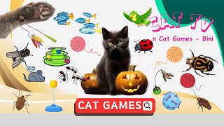 CAT Game 🐾 Best Cat Games Ever Watch Your Cat Go Wild with These Fun Challenges 🎮🧶⚽🧵🐞🐛🐁🐜🐓🐬  CAT TV [upl. by Dyann]