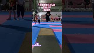 Hapkido Long Fall  Hapkido Championship fighting kungfu hapkido fightingsport martialarts [upl. by Annauqahs]