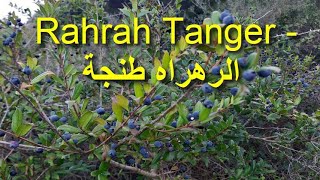 Tanger RAHRAH  KAWASSIM MESNANA  شوف طنجة الرهراه [upl. by Hightower]