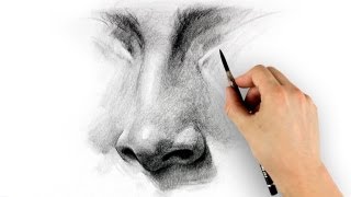 How to Draw a Nose  Step by Step [upl. by Cahra557]