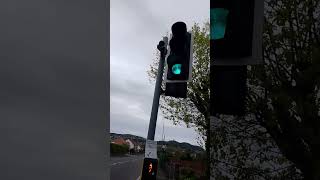 Puffin crossing at Rhos [upl. by Blatt597]