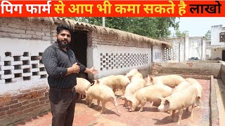 कम खर्च में शुरू कर Pig Farm हर महीने कमाता हूँ लाखो [upl. by Lakin]