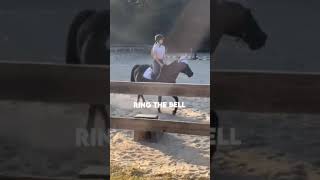 Lesson on Trooper ❤️ I havent ridden for 2 months until yesterday 😮‍💨 [upl. by Ailegra]