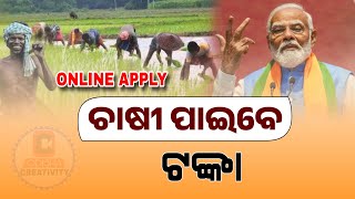 PM Kisan 19th Installment Update in Odia  Kisan Yojana New Apply Online [upl. by Ynez857]