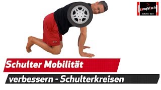 Schulter Mobilität  Prävention und Reha bei Schulterschmerzen [upl. by Harolda]