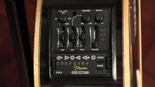 The Takamine CTP2 quotCool Tubequot Acoustic Guitar Preamp  review and user guide [upl. by Phillada]