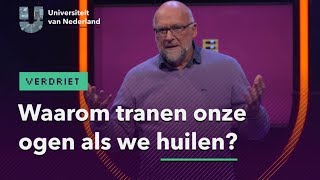 Waarom tranen onze ogen als we huilen  VERDRIET [upl. by Phaedra]