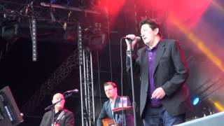 THE POGUES live FETE DU BRUIT LANDERNEAU 2014 [upl. by Htiekel]