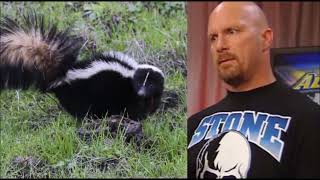 Stone Cold Steve Austin on Trying to Capture a Skunk at his Ranch [upl. by Mailliwnhoj]