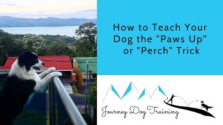 How to Teach Your Dog the quotPaws Upquot or quotPerchquot Trick [upl. by Selda]