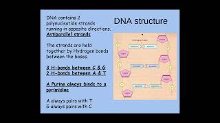 213 Nucleotides and Nucleic Acids d iThe structure of DNA [upl. by Anitnas]