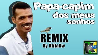 Papacapim dos meus sonhos  AtilaKw Remix [upl. by Irehc]