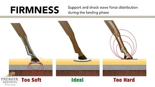 How Riding Arena Surfaces Affect Horse Biomechanics [upl. by Derina]