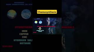 How Chemosynthesis Works and Why It Matters [upl. by Leamhsi]