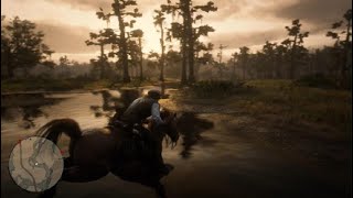 Red Dead Redemption 2 FREE VARMINT RIFLE LOCATION RDRD Random Events [upl. by Iphlgenia970]