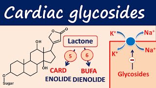 Cardiac glycosides in easy way  Digoxin digitoxin [upl. by Acceb]