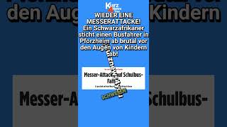 pforzheim Attacke auf SchulbusFahrer Es geschah auf dem Weg vom Unterricht nach Hause  news [upl. by Esinnej441]