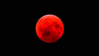 Lunar Eclipse 2011 Amazing Next Lunar Eclipse Video Will turn moon BLOOD RED like this [upl. by Theo]