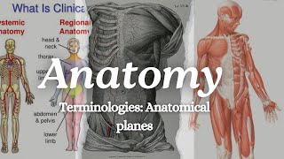 Anatomical Terminologies Anatomical planes terminologíamédica [upl. by Roz952]