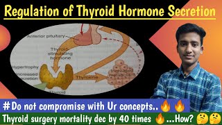 Regulation of Thyroid Hormone Secretion Endocrine Physiology  in hindi Ashish Agrawal [upl. by Aelem305]