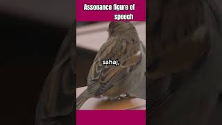 Assonance figure of speech facts vocabulory [upl. by Audrye]