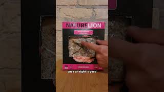 Growing Pink Oysters With A Mushroom Growing Kit Nature Lion  Made In Canada [upl. by Covell]