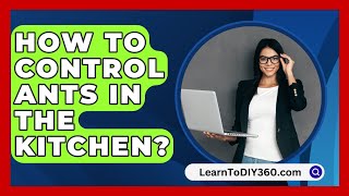 How To Control Ants In The Kitchen  LearnToDIY360com [upl. by Munafo]