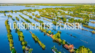 Loosdrechtse Plassen  Drone 4K [upl. by Leia]