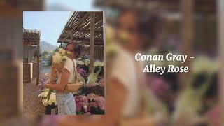 Alley Rose  Conan Gray Sped Up [upl. by Jewelle]