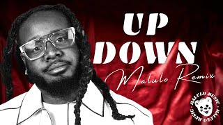 TPAIN  UP DOWN Do This All Day MALULO REMIX [upl. by Ahseket]