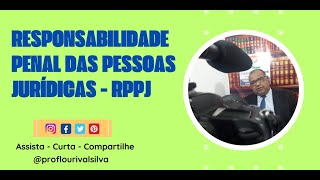 A Responsabilidade Penal das Pessoas Jurídicas  RPPJ [upl. by Agni]