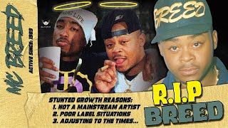 The Flint Pioneer What Happened To MC BREED RIP Stunted Growth Music [upl. by Fawna]